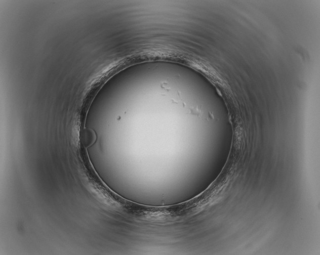 X0000111850446200908061318