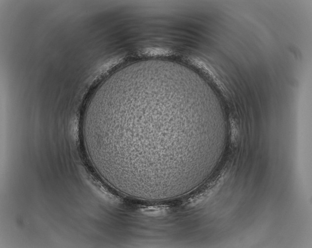 X0000111850447200908061318