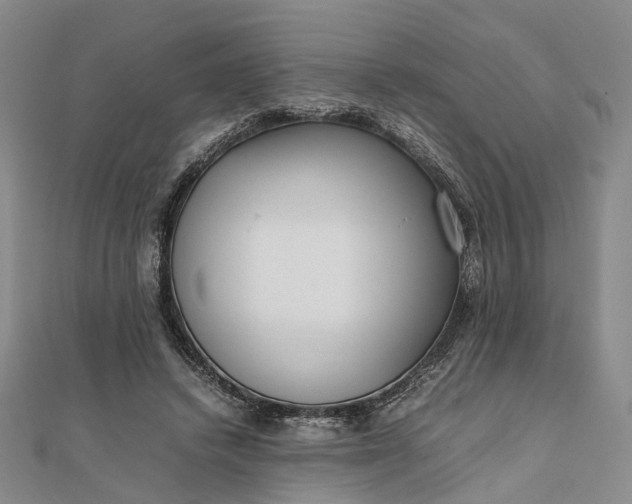 X0000111850448200908061318