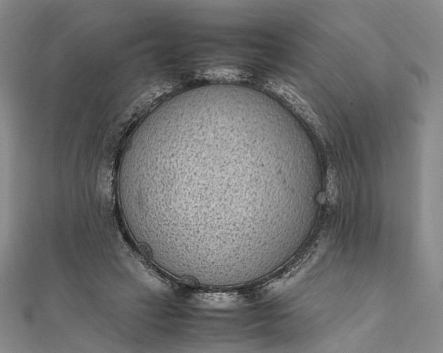 X0000111850449200908061318