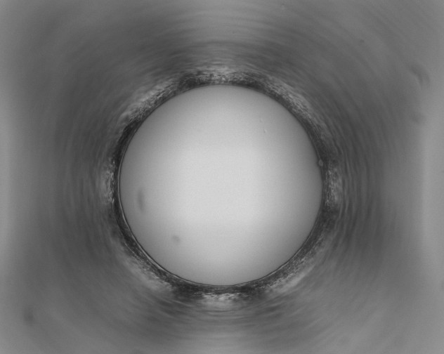 X0000111850450200908061318