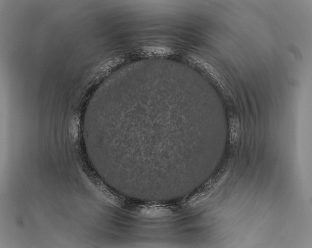 X0000111850451200908061318