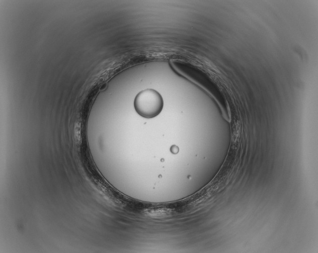 X0000111850452200908061318