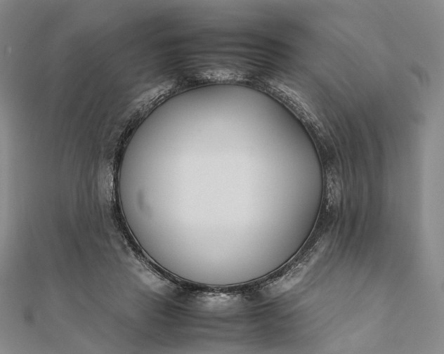 X0000111850453200908061318