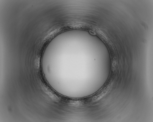 X0000111850454200908061318