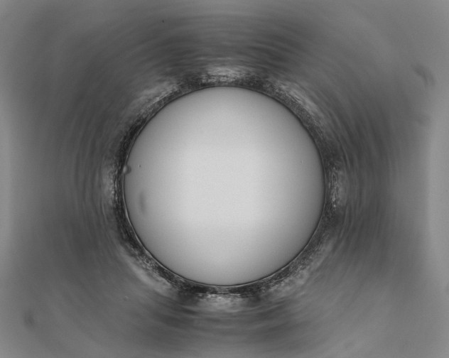 X0000111850455200908061318