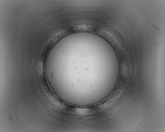 X0000111850457200908061318