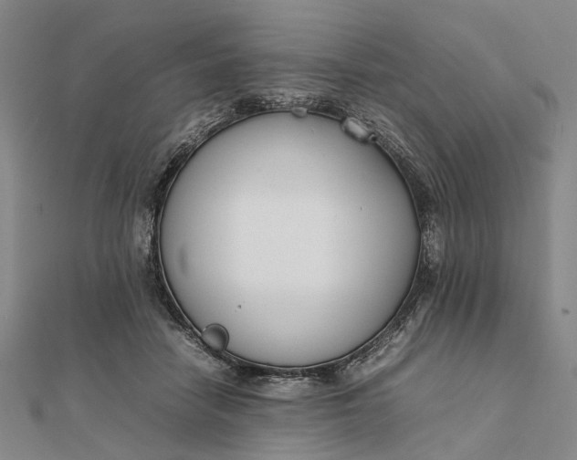 X0000111850458200908061318