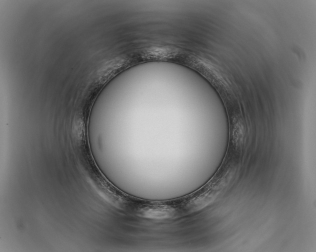 X0000111850459200908061318