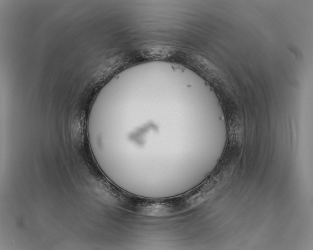 X0000111850460200908061318