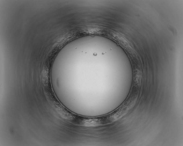 X0000111850461200908061318