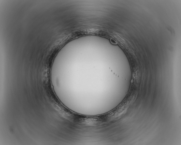 X0000111850462200908061318