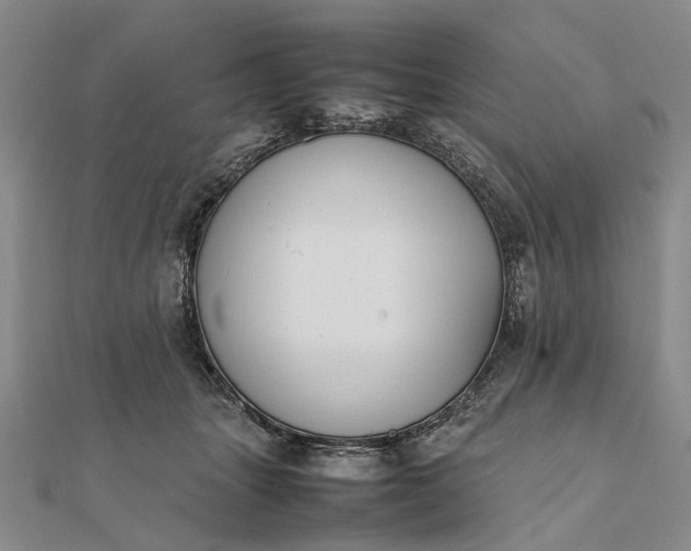 X0000111850463200908061318