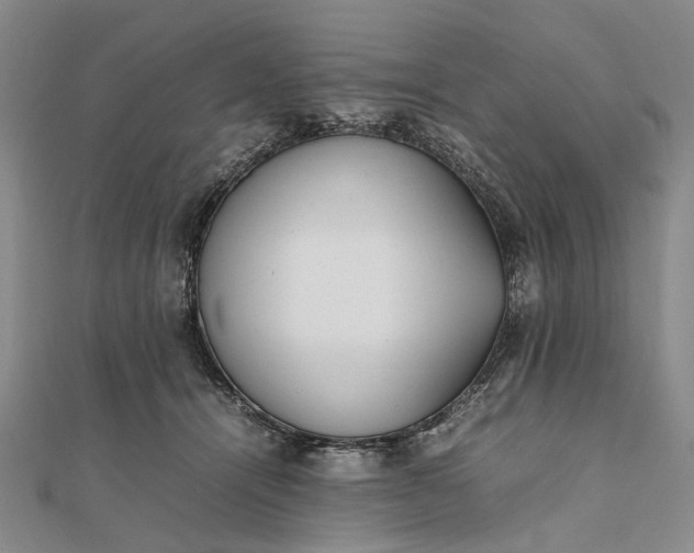 X0000111850464200908061318