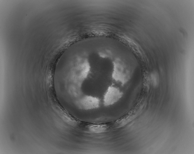 X0000111850465200908061318