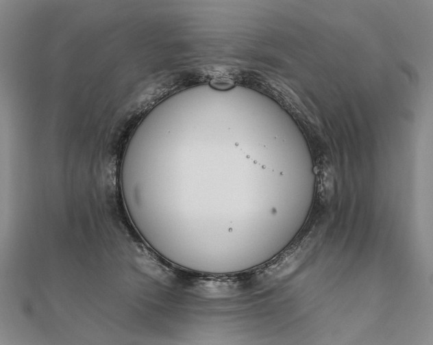 X0000111850466200908061318