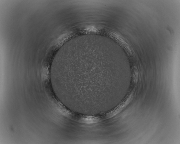 X0000111850467200908061318