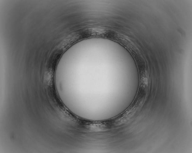 X0000111850468200908061318