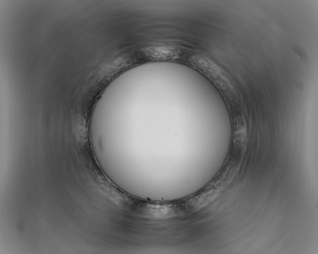 X0000111850469200908061318