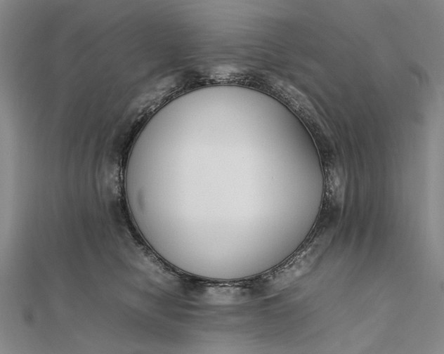 X0000111850470200908061318