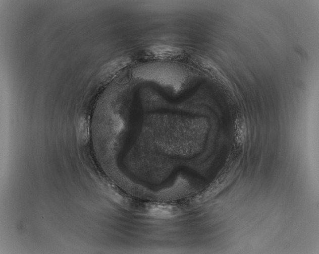 X0000111850471200908061318