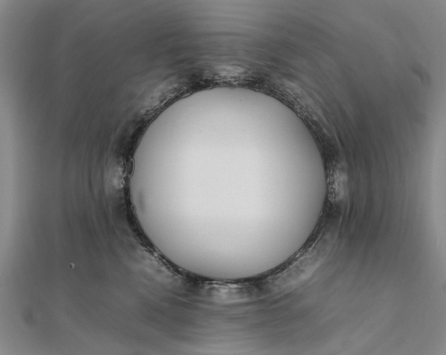 X0000111850472200908061318