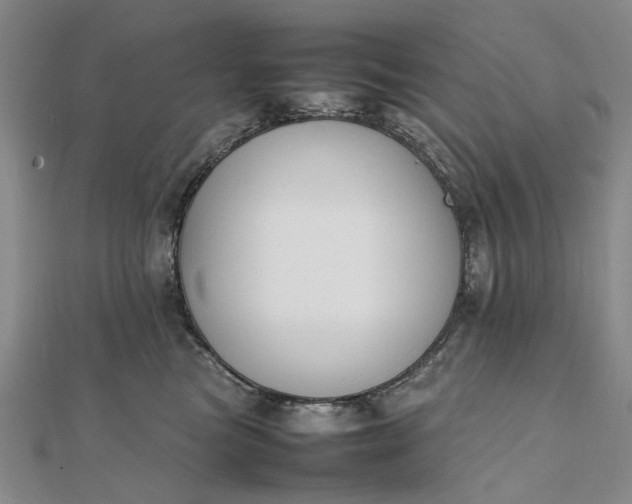 X0000111850473200908061318