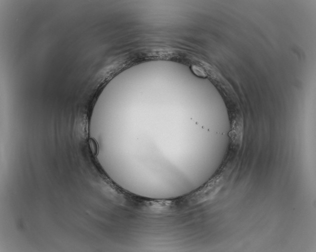 X0000111850474200908061318