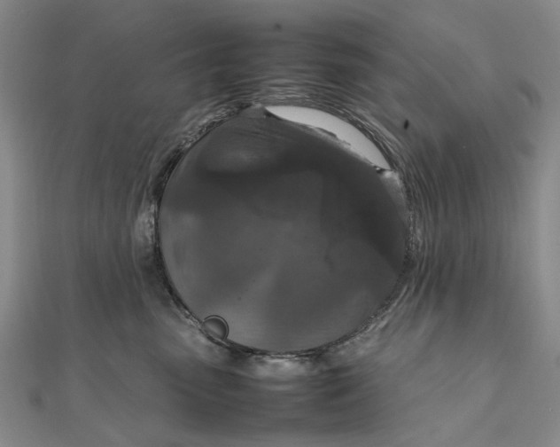 X0000111850475200908061318