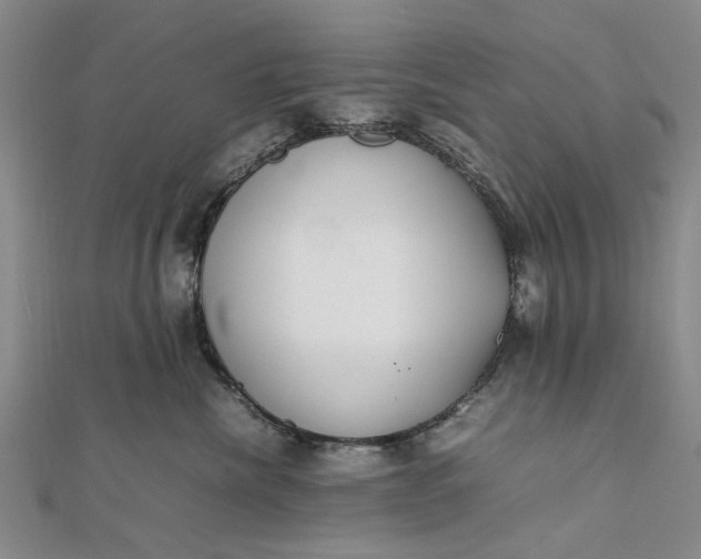 X0000111850476200908061318