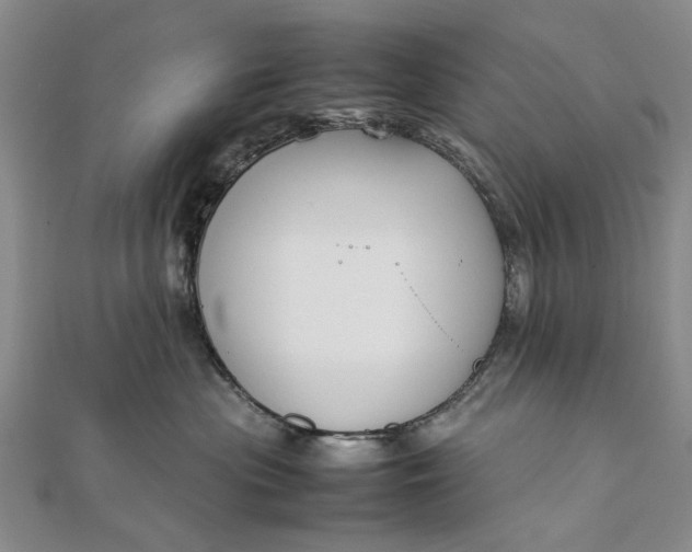 X0000111850477200908061318