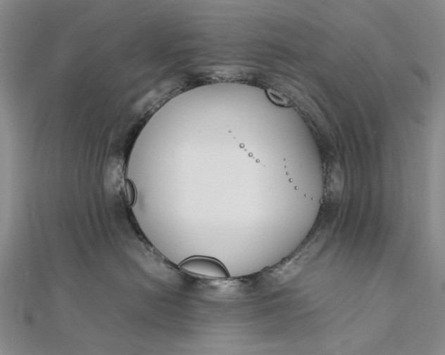 X0000111850478200908061318