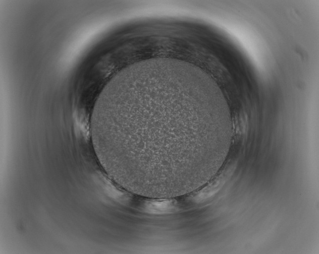 X0000111850479200908061318