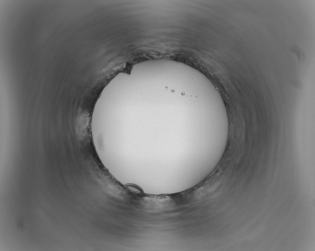 X0000111850480200908061318