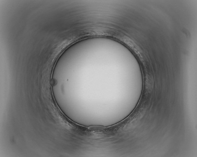 X0000111850481200908061317