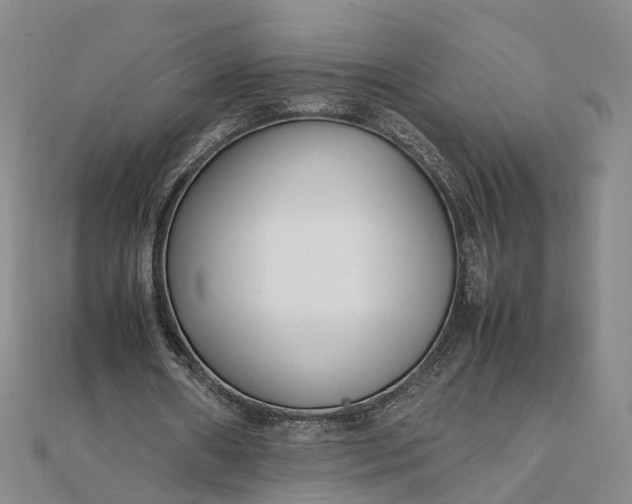 X0000111850482200908061317