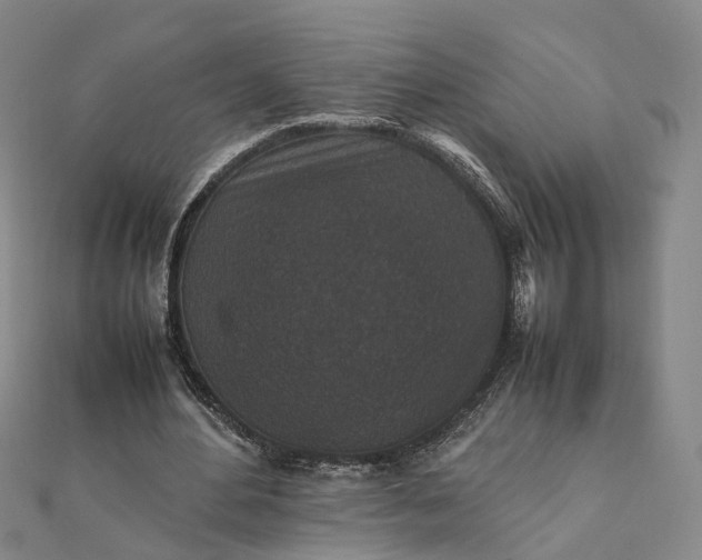 X0000111850484200908061317