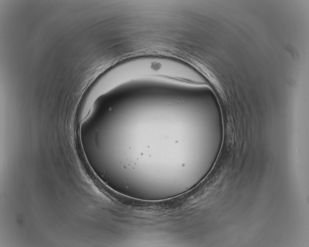 X0000111850485200908061317