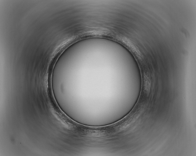 X0000111850486200908061317