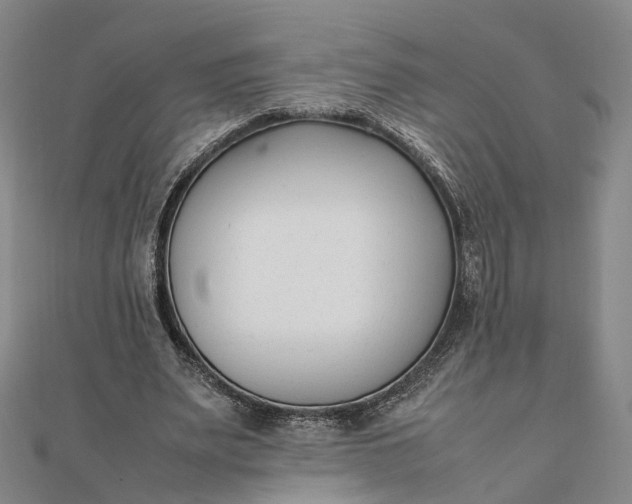 X0000111850487200908061317