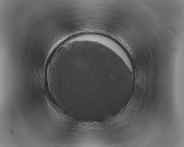 X0000111850488200908061317