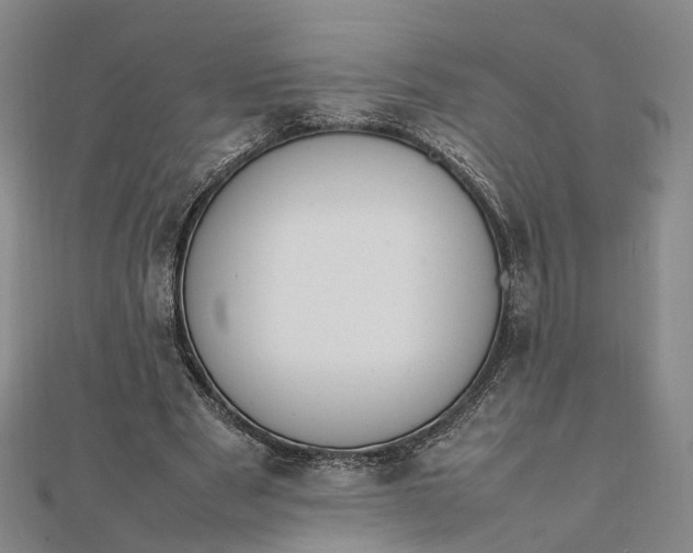 X0000111850489200908061317