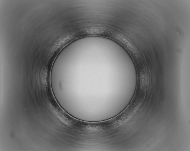 X0000111850490200908061317