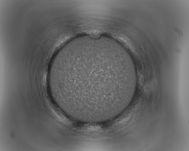 X0000111850491200908061317