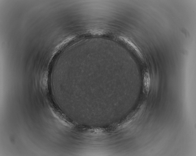 X0000111850492200908061317