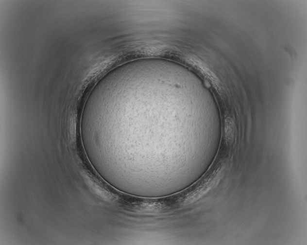 X0000111850493200908061317