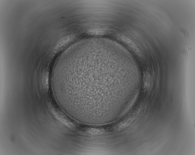 X0000111850494200908061317