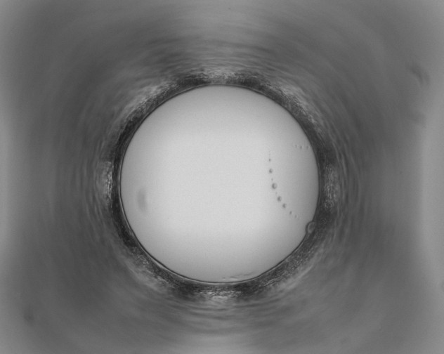 X0000111850495200908061317