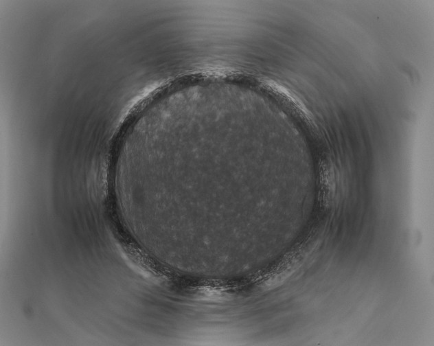 X0000111850496200908061317