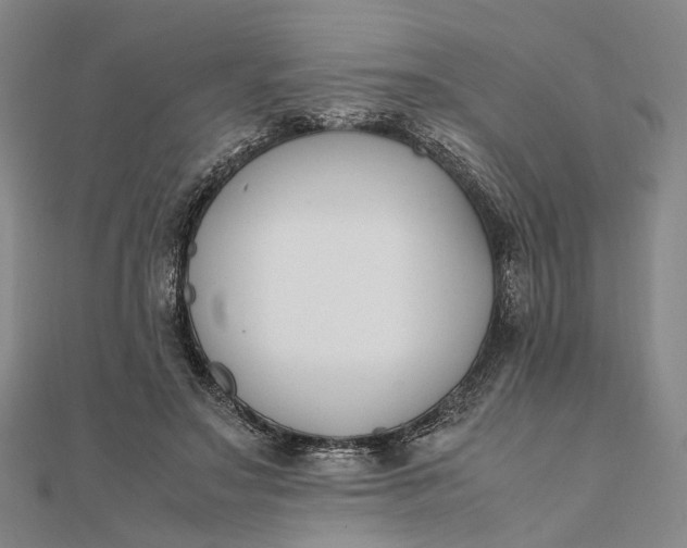 X0000111850499200908061317